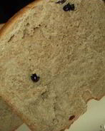 Хлеб с пшеничной цельнозерновой мукой