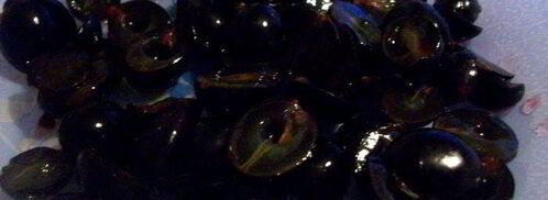 тосканский хлеб с виноградом. Шаг 10