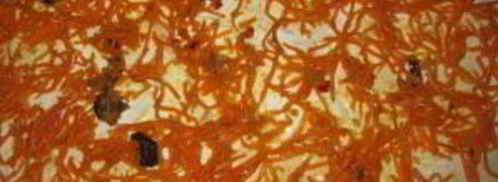 лаваш с корейской морковкой и сыром. Шаг 2