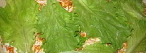 лаваш с корейской морковкой и сыром. Шаг 4