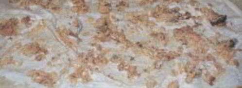 лаваш с рыбой и сыром. Шаг 2