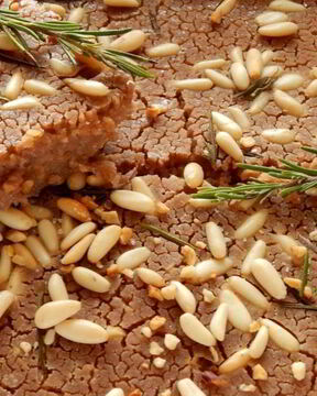 Каштановая лепешка