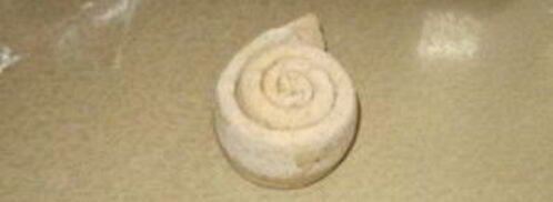 луковая лепешка. Шаг 8