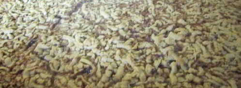 тертый пирог с творогом. Шаг 7