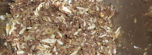 пирожки печеные с ливером и с грибами. Шаг 7