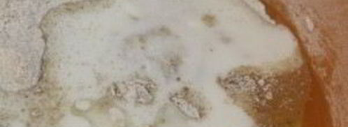 пирожки с черникой из пресного теста. Шаг 2