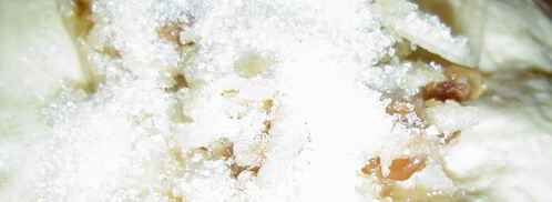 пирожки с яблоками и изюмом на сковороде. Шаг 6