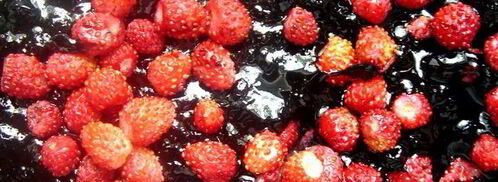 пирожное с черничным киселем, земляникой и сливками. Шаг 4