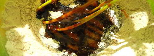 шоколадно-апельсиновые пирожные летим. Шаг 4