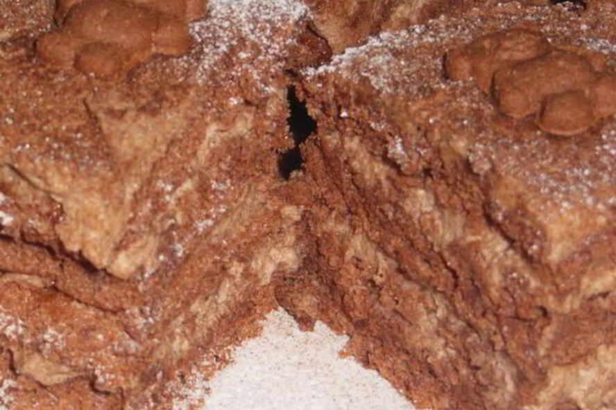 Рецепт шоколадное пирожное ангельское