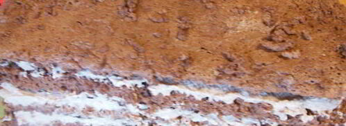 шоколадное пирожное ангельское. Шаг 9