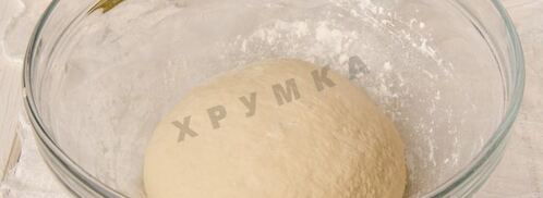 пицца с красной рыбой семгой на дрожжевом тесте. Шаг 8