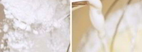 пончики с шоколадом. Шаг 3