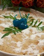 Шарлотка мраморная