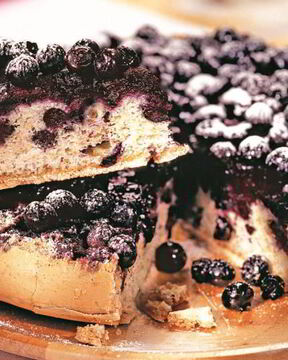 Шарлотка с черникой