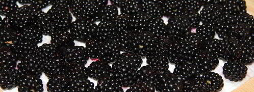 шарлотка с ежевикой. Шаг 2