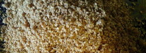 сигары с орешками и пахлава. Шаг 3