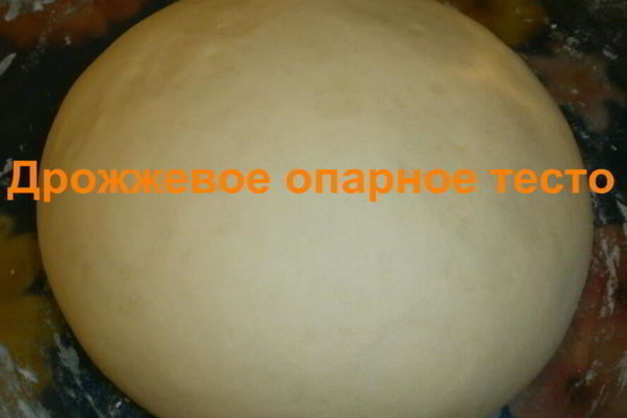 Рецепт дрожжевое опарное тесто