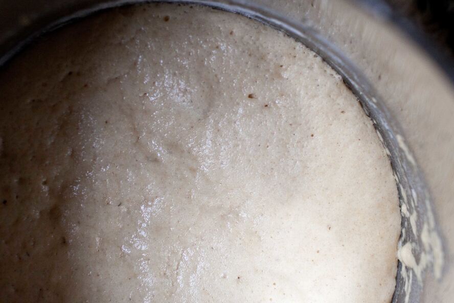 Рецепт дрожжевое тесто для блинов