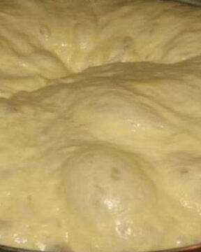 Дрожжевое тесто на воде