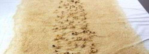 тесто для штруделя. Шаг 9