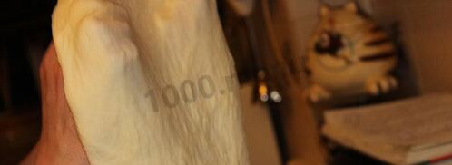 тонкое тесто и соус для итальянской пиццы. Шаг 4