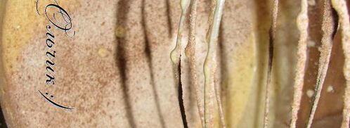 рождественское полено. Шаг 5