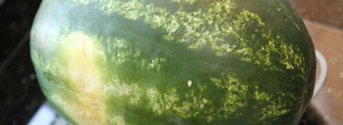 торт из арбуза. Шаг 4