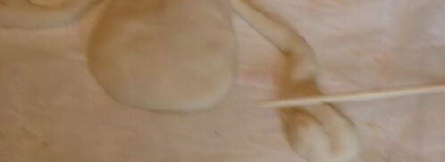 торт ну, заяц, погоди. Шаг 2