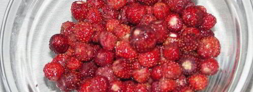 торт сладкая жизнь. Шаг 6