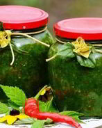 Аджика из петрушки