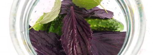 ассорти из огурцов и помидоров с базиликом на зиму. Шаг 2