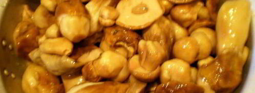 белые грибы замороженные на зиму. Шаг 2