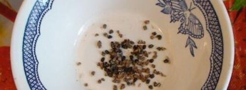 джем из киви и лимонов с кардамоном. Шаг 4