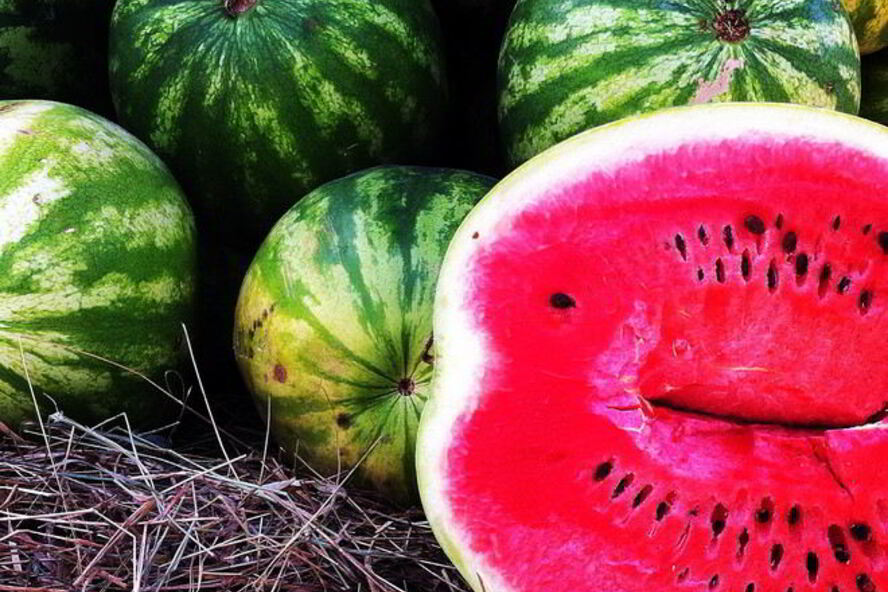 Рецепт готовим джем из арбуза