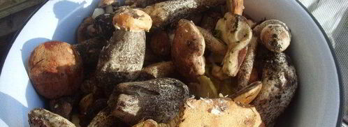 грибочки на зиму. Шаг 2