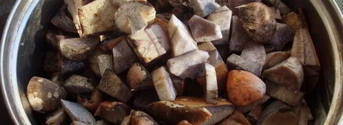 грибочки на зиму. Шаг 3