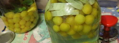 компот из алычи с кабачком. Шаг 4