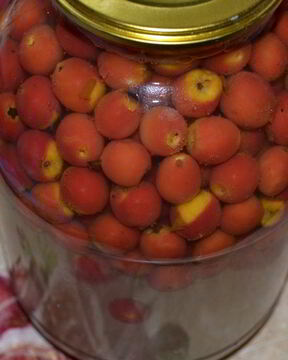 Компот из боярышника