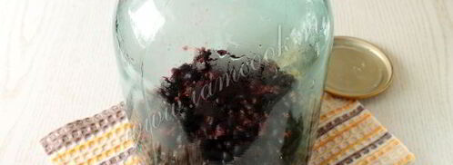 компот из черной смородины на зиму. Шаг 6