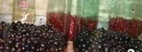 компот из черной смородины. Шаг 2