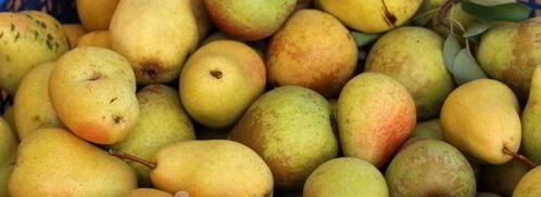 компот из груш на зиму без стерилизации. Шаг 3