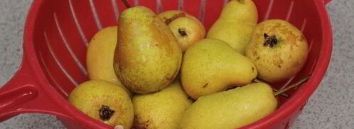 компот из груш на зиму без стерилизации. Шаг 4