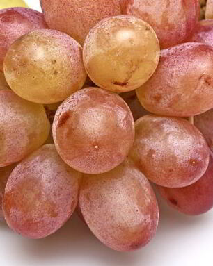 Компот из винограда