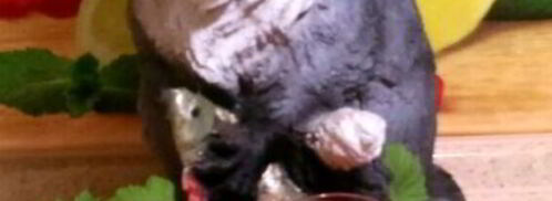 компот из замороженной смородины и малины. Шаг 5