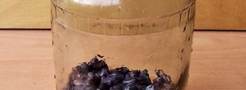 компот из жимолости. Шаг 3