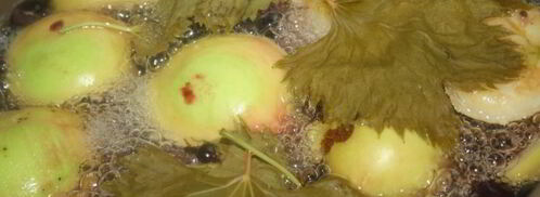 яблочный компот с виноградными листочками. Шаг 4