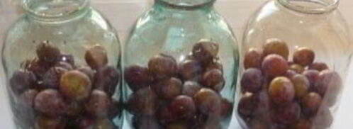 закатка компота из слив. Шаг 2