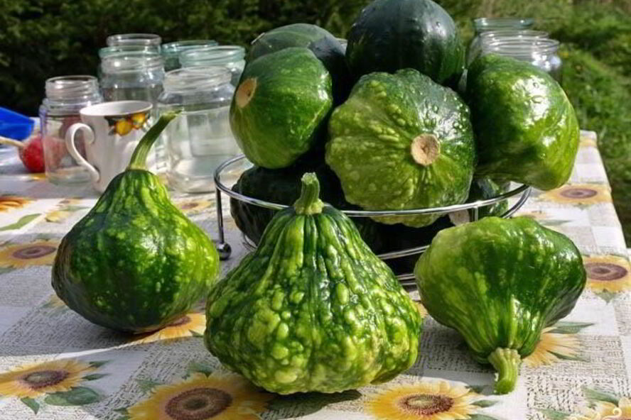 Рецепт консервация патиссонов на зиму