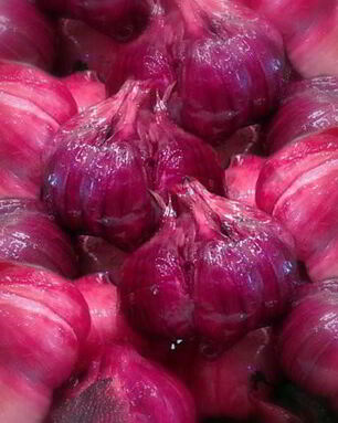 Квашеный чеснок